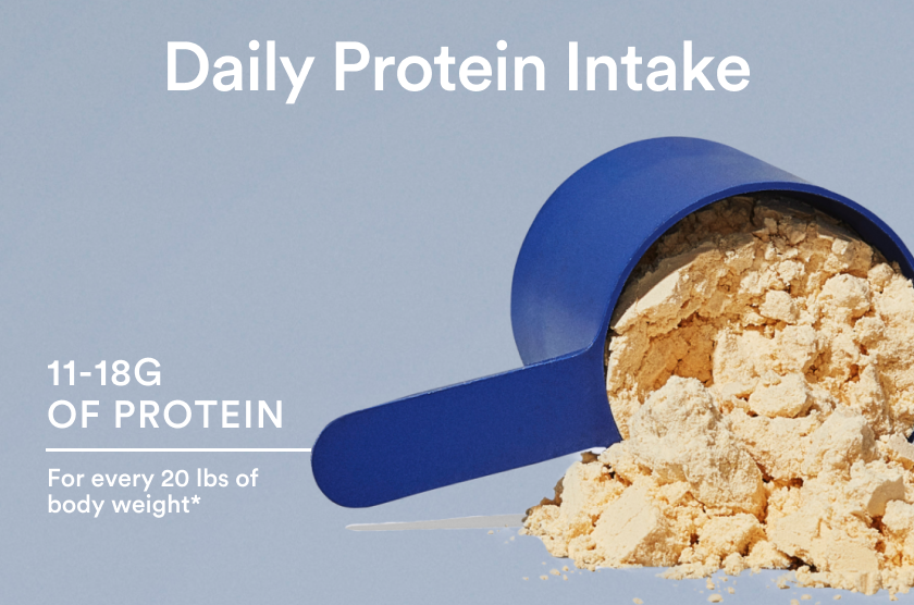 Protein Shake Before or After a Workout?