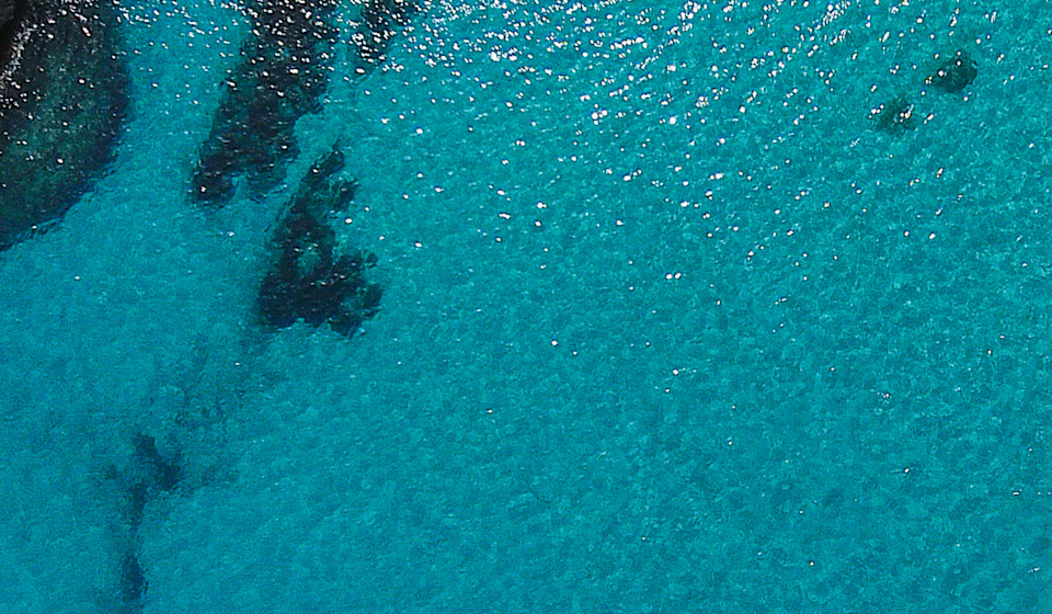 What We Can Learn from Blue Zones