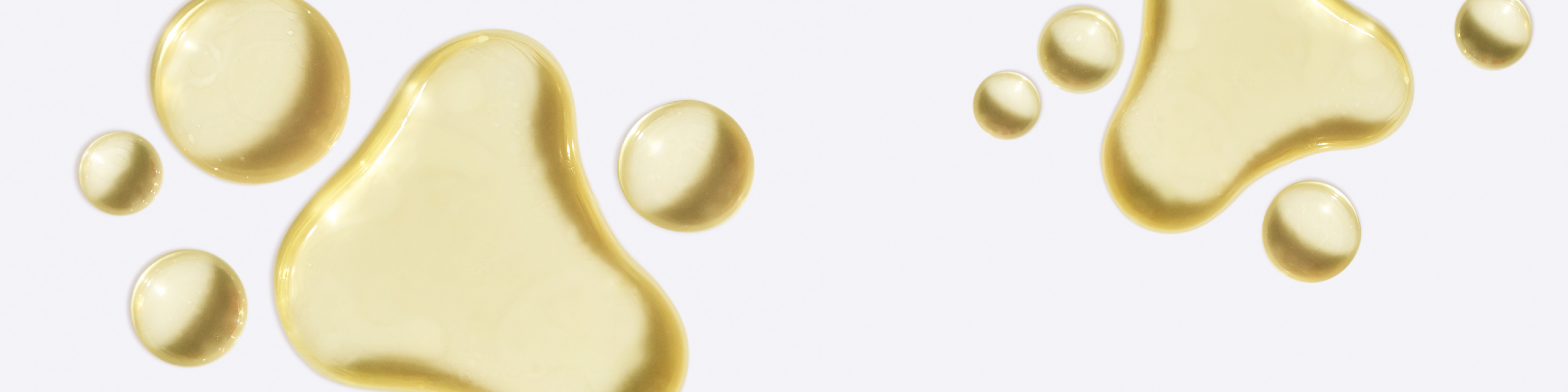 A Deep Dive Into Algal Oil vs. Fish Oil