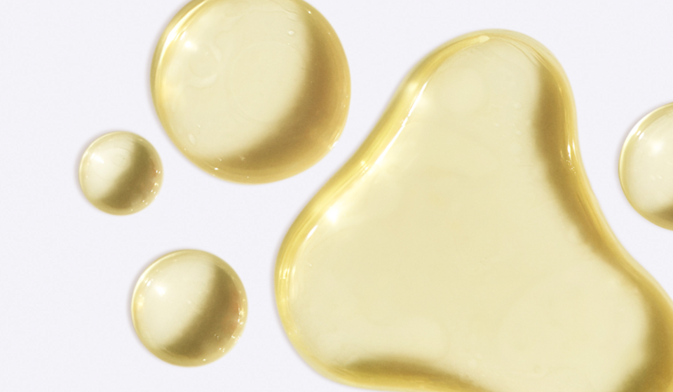 A Deep Dive Into Algal Oil vs. Fish Oil