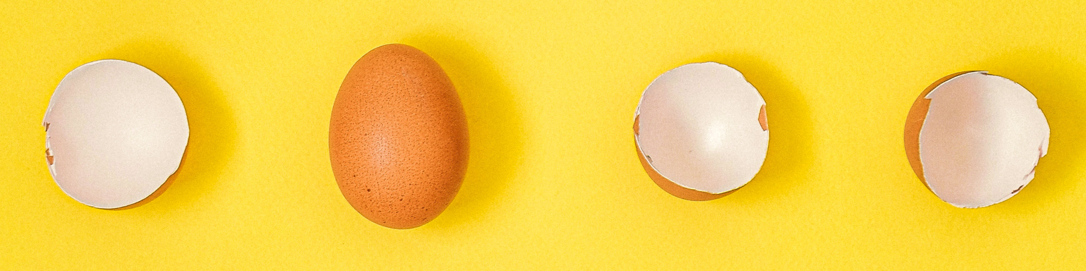 Egg shells representing pregnancy.
