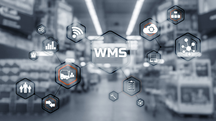 System WMS - innowacyjne podejście do zarządzania magazynem