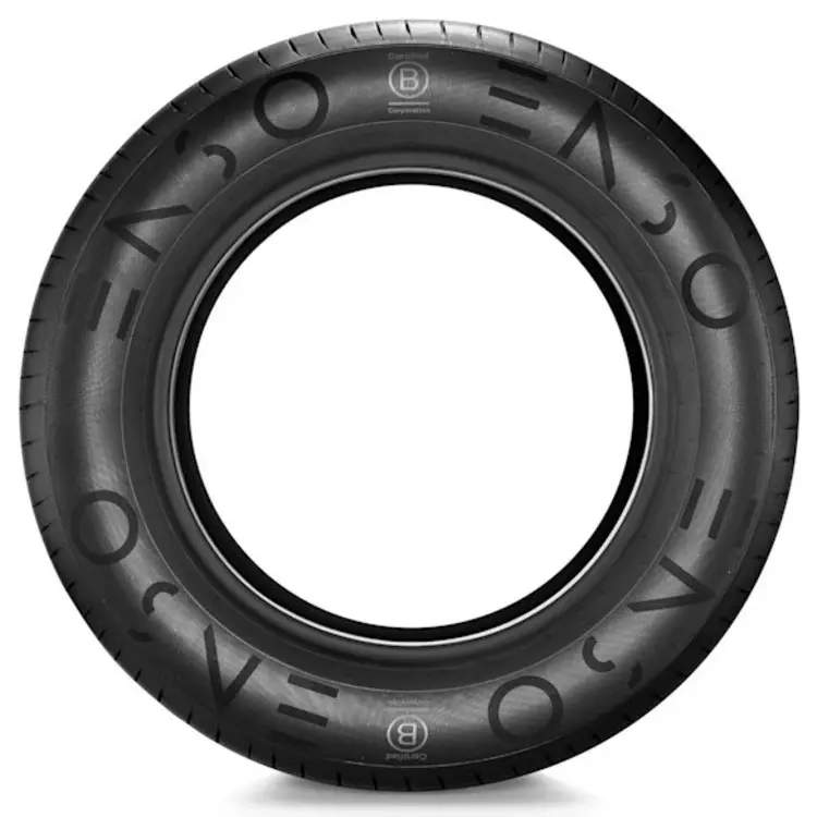 Tire 235/65R18 SV1B