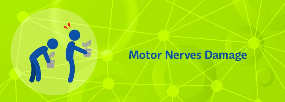 Daño a los nervios motores