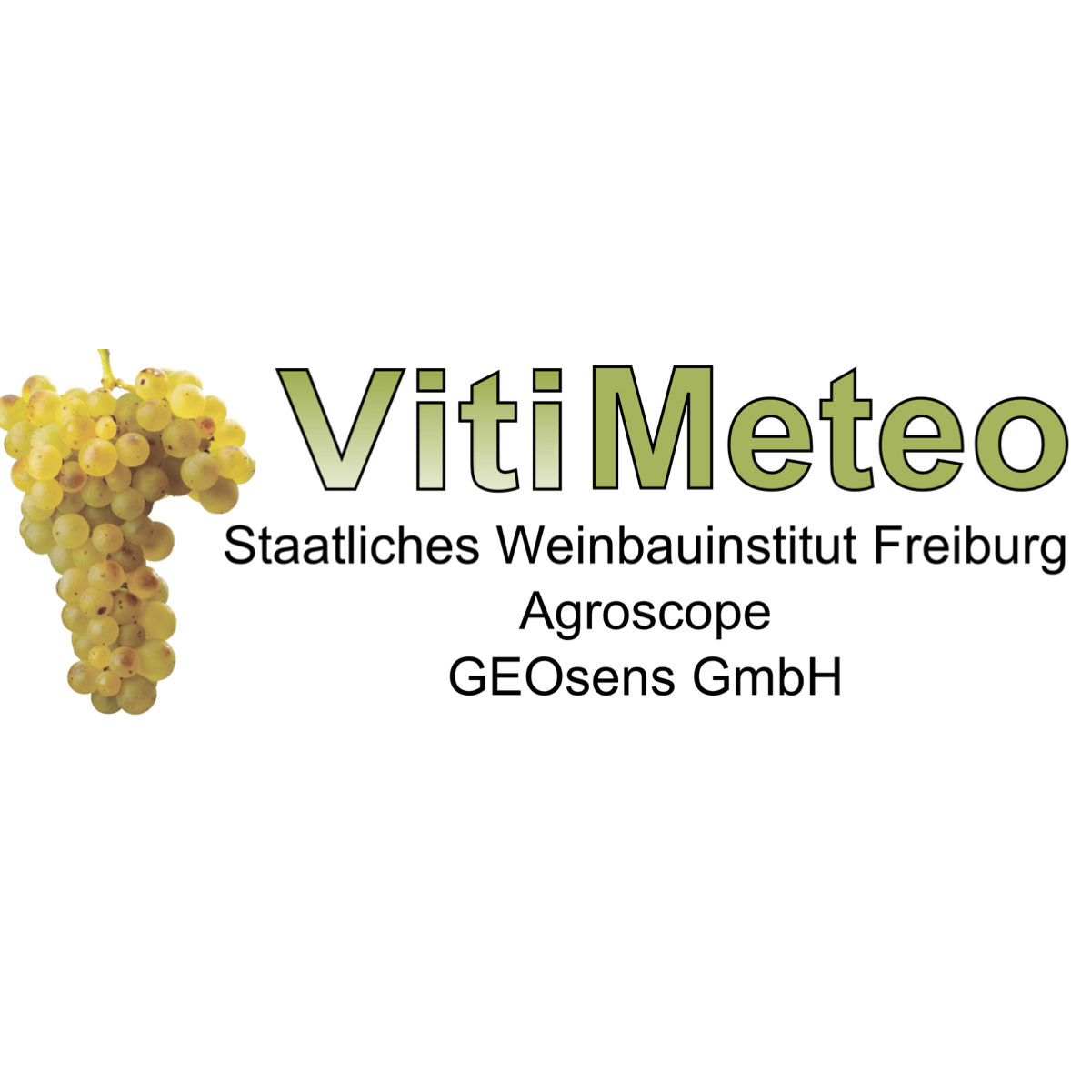 vitimeteo-oad-logo