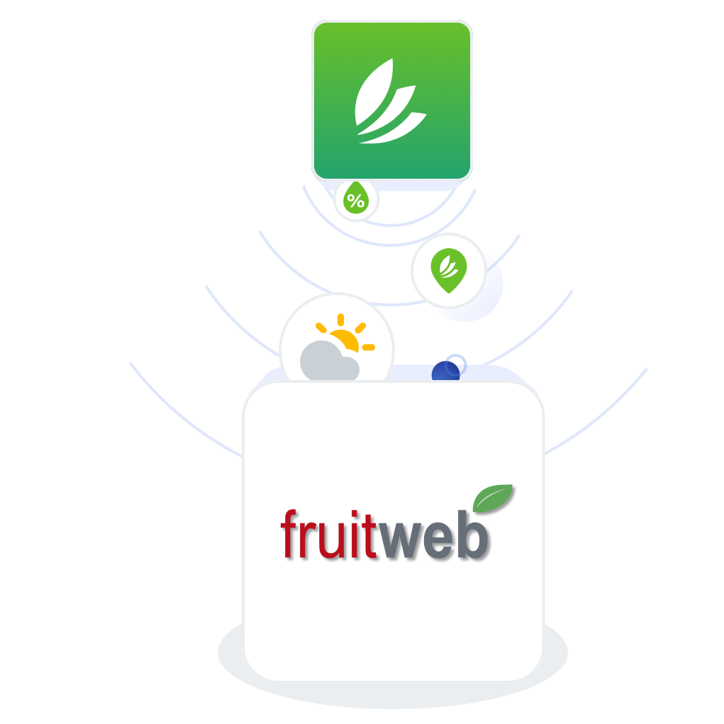 content-fruitweb