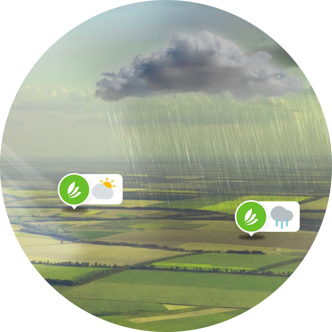 blog-weather-forecast-round