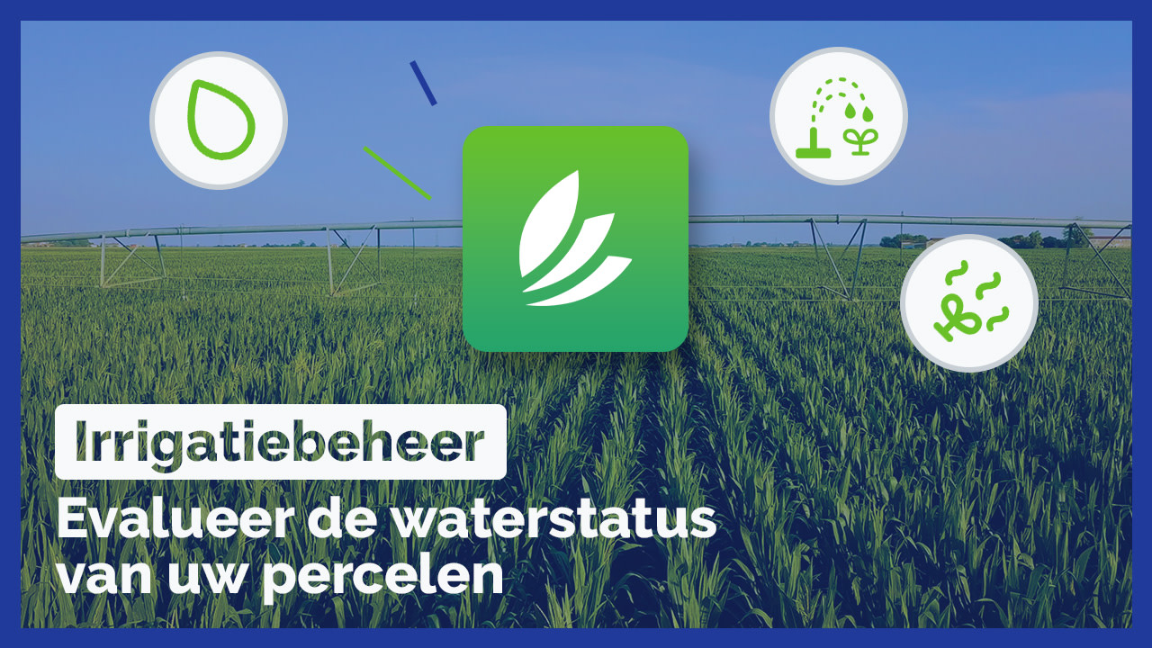 TN Irrigation NL 1