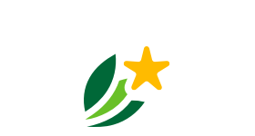 icon pro plan