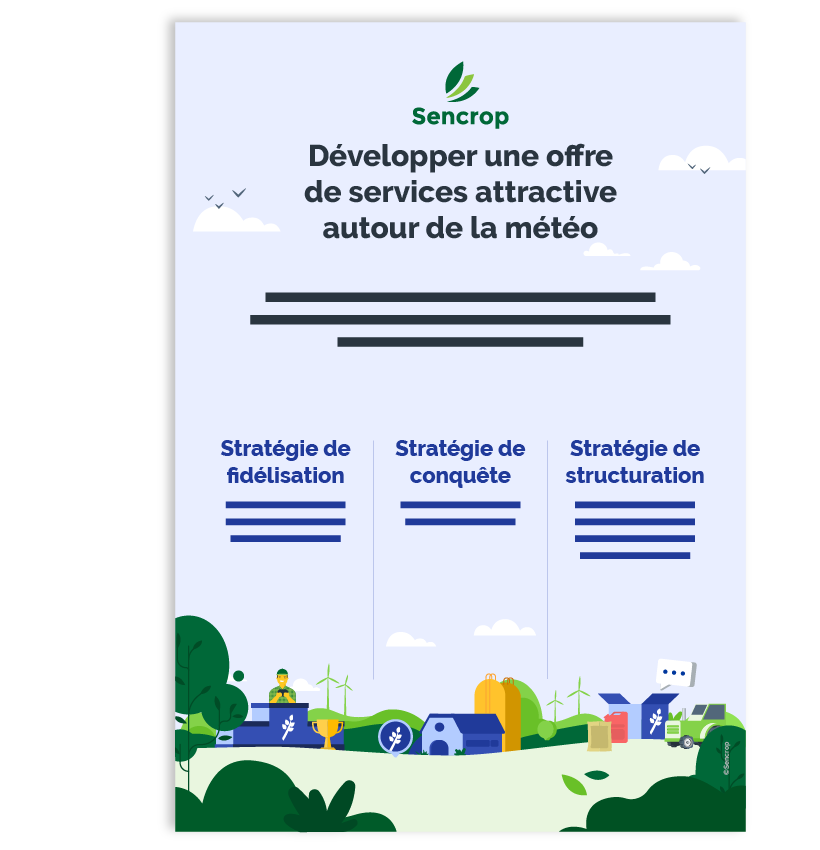 Infography-BtoB-service-offer-FR