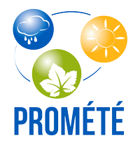 logo-DST-partner-promete