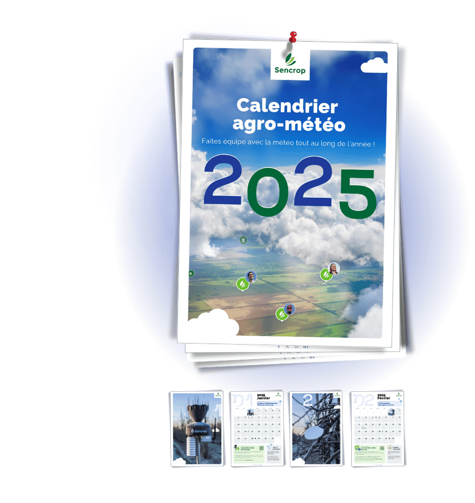 D calendar media-section-FR