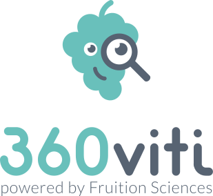 dst-360-viti-logo