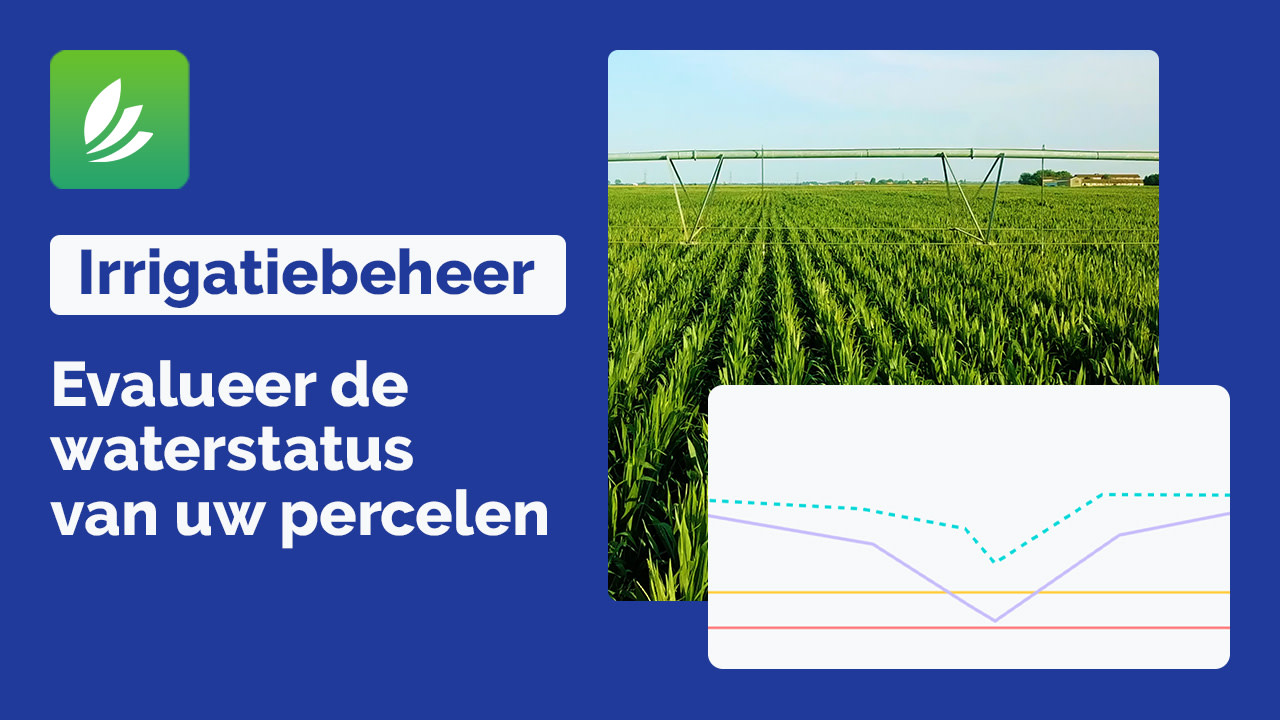 video-Irrigation NL