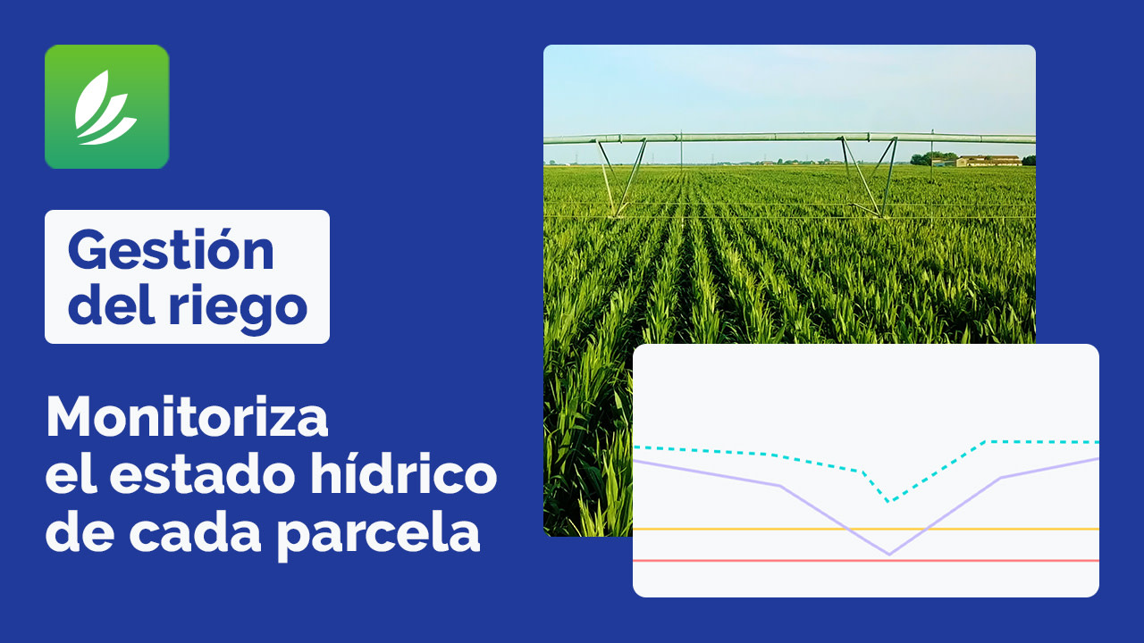 video-Irrigation ES