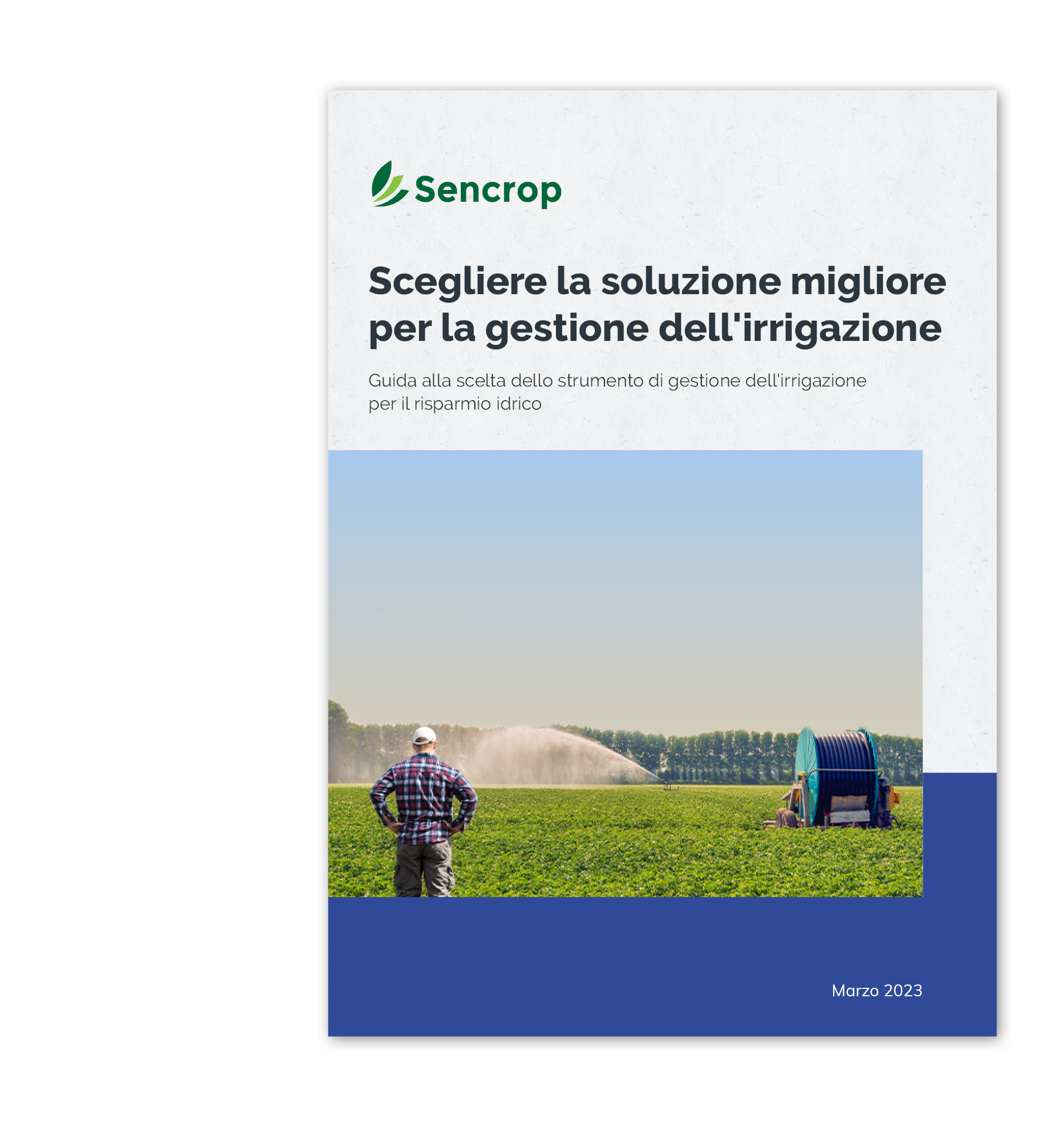 Media-content-pdf-cover-irrigation-it