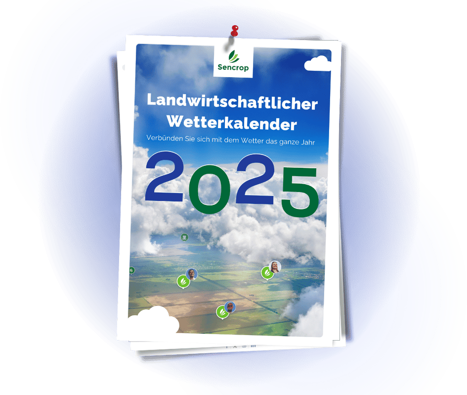 M calendar media-section-DE