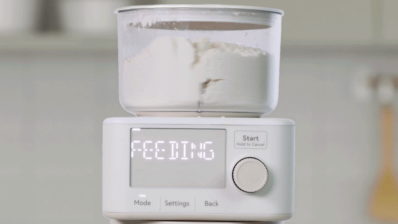 sourdough gif