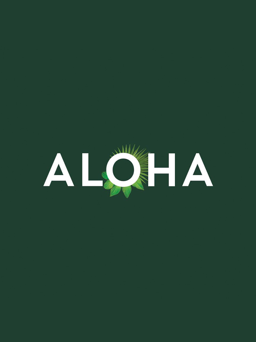 Aloha-chocolate fudge