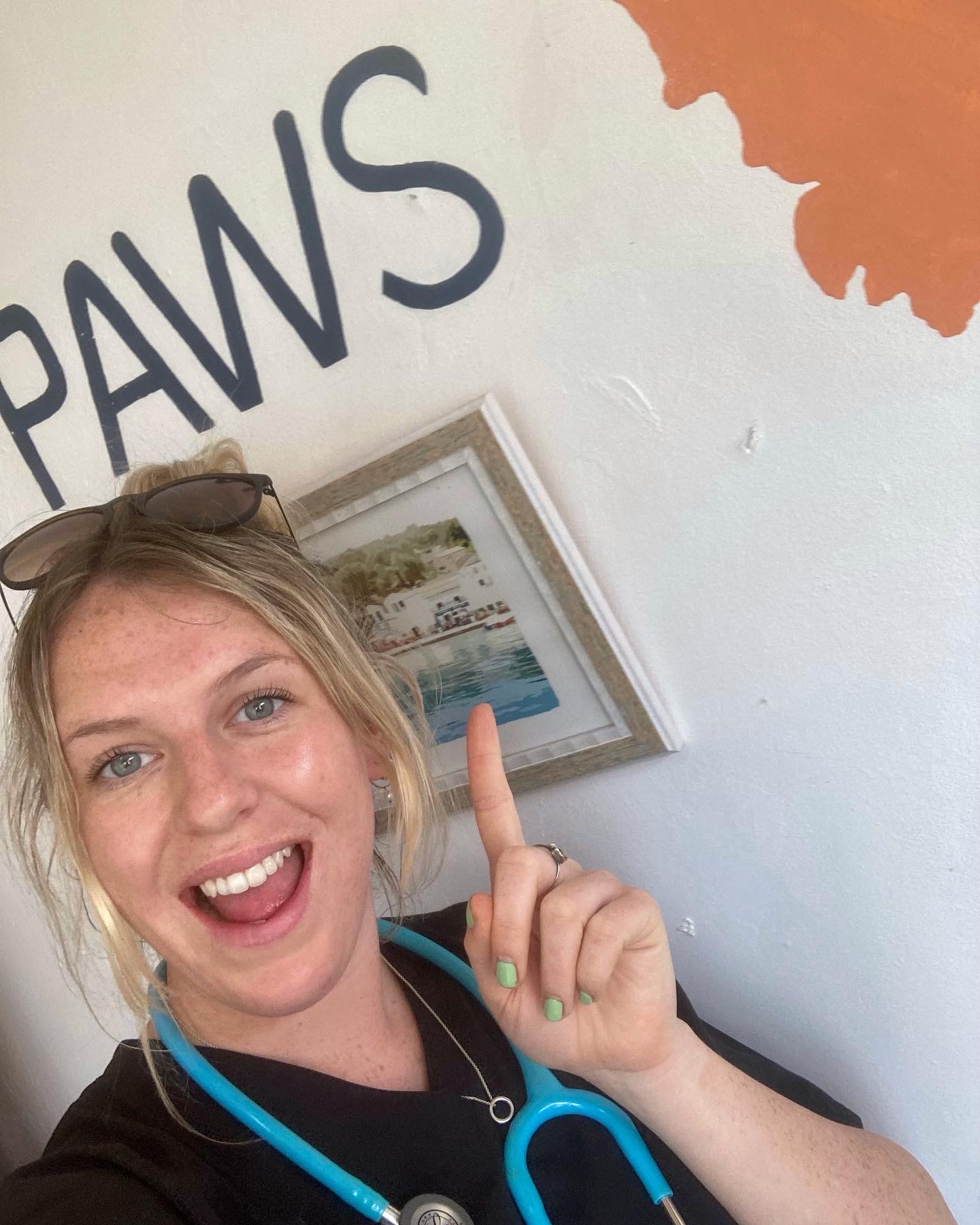 Volunteer Spotlight: Caring for cats on the Greek island of Paxos // WVS