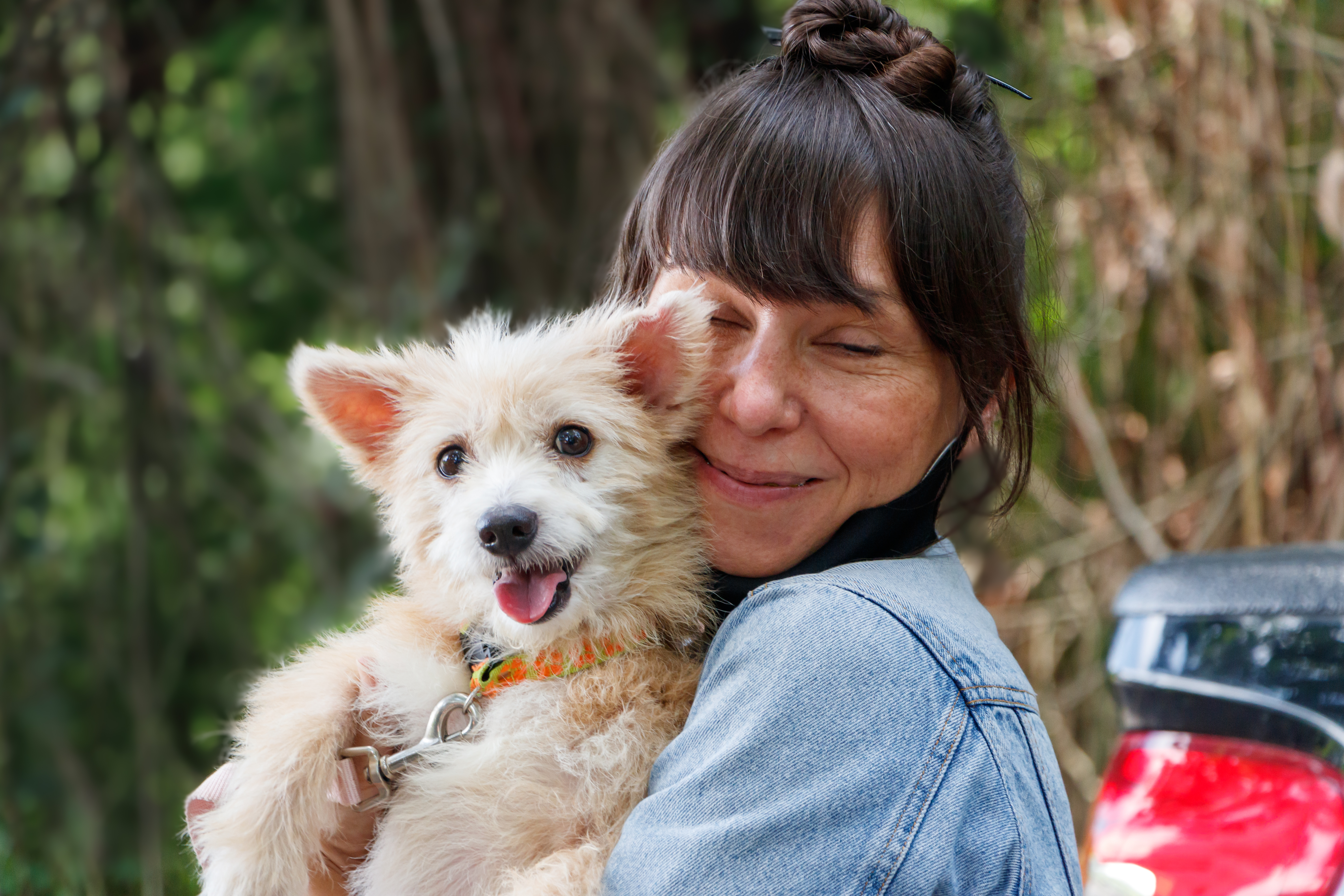 Making a Will - Frequently Asked Questions