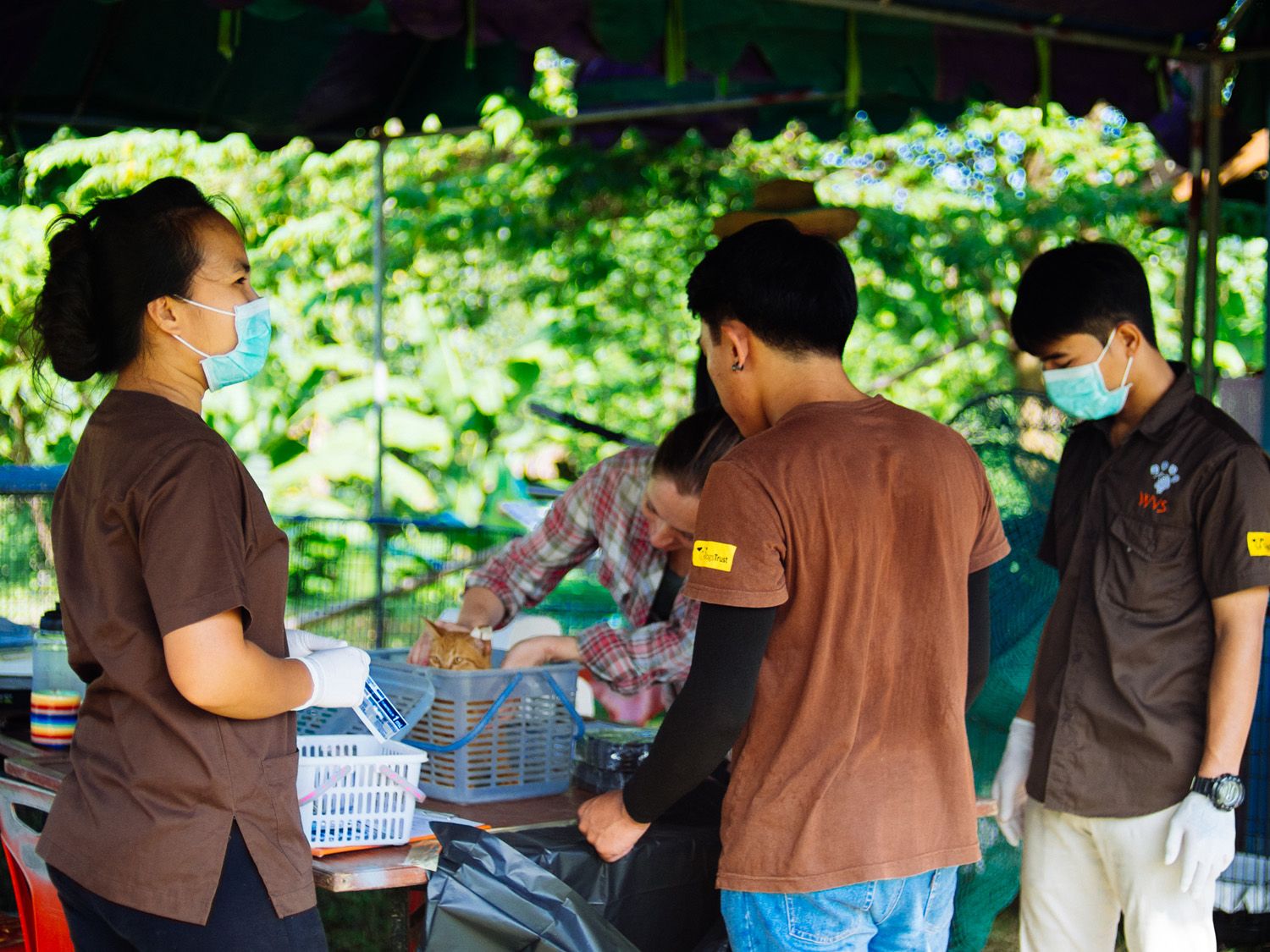 WVS Vets Treat Record Number of Animals at Thai Outreach Clinic