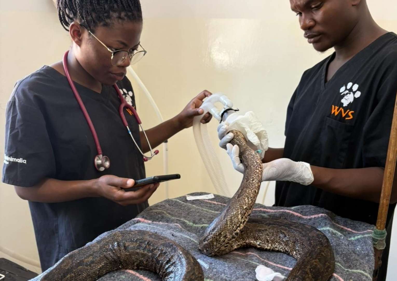 Beyond the ordinary: Meet some of our unusual patients