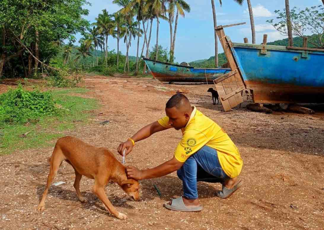 Three ways rabies vaccination programmes are healing the bond between animals and people