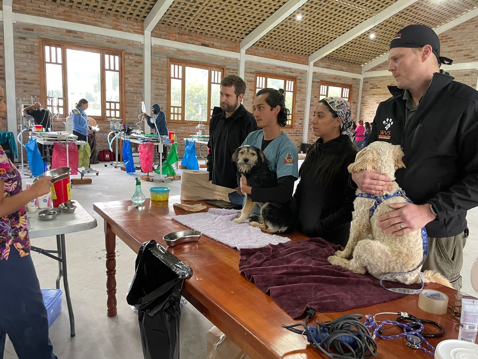 The Big Give 2024: Life-saving veterinary supplies needed in Ecuador 