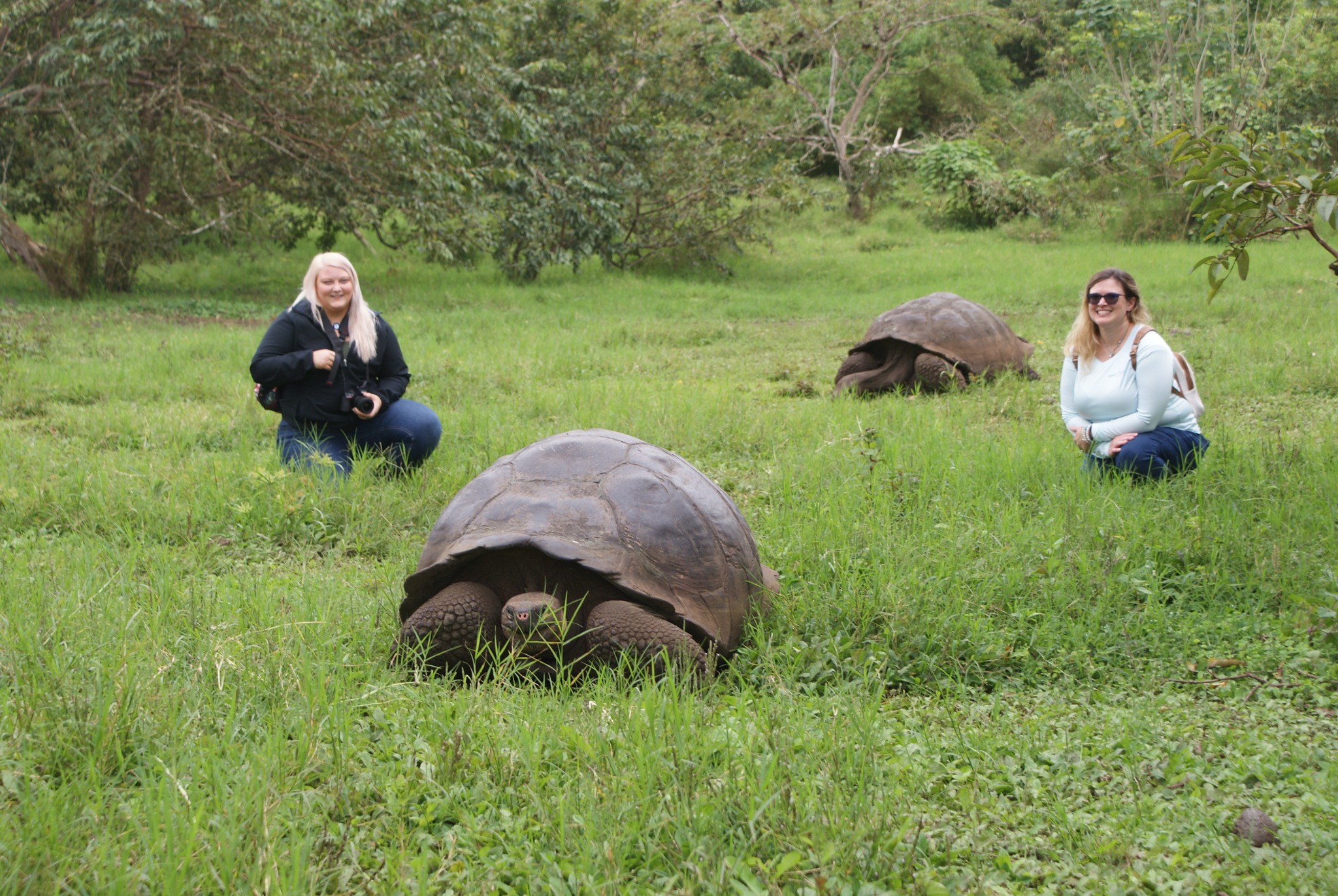 A vet tech’s volunteering adventure in the Galápagos Islands