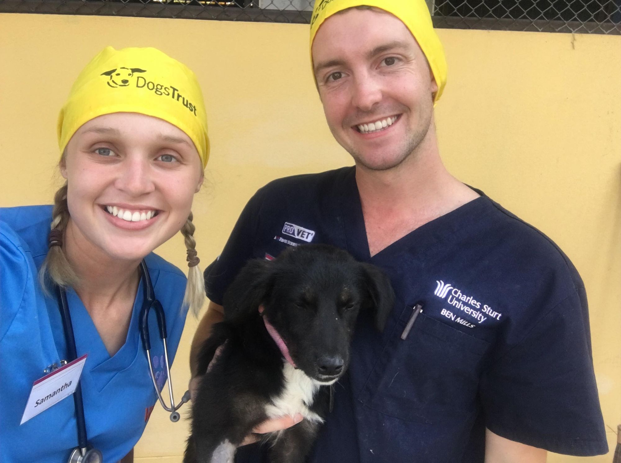 Surgical Training in Thailand: A veterinary student from Australia's experience