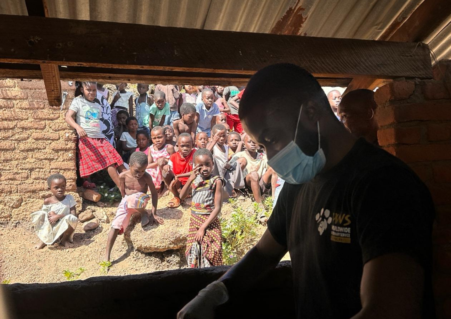 Project spotlight: enhancing animal welfare in Lake Malawi  