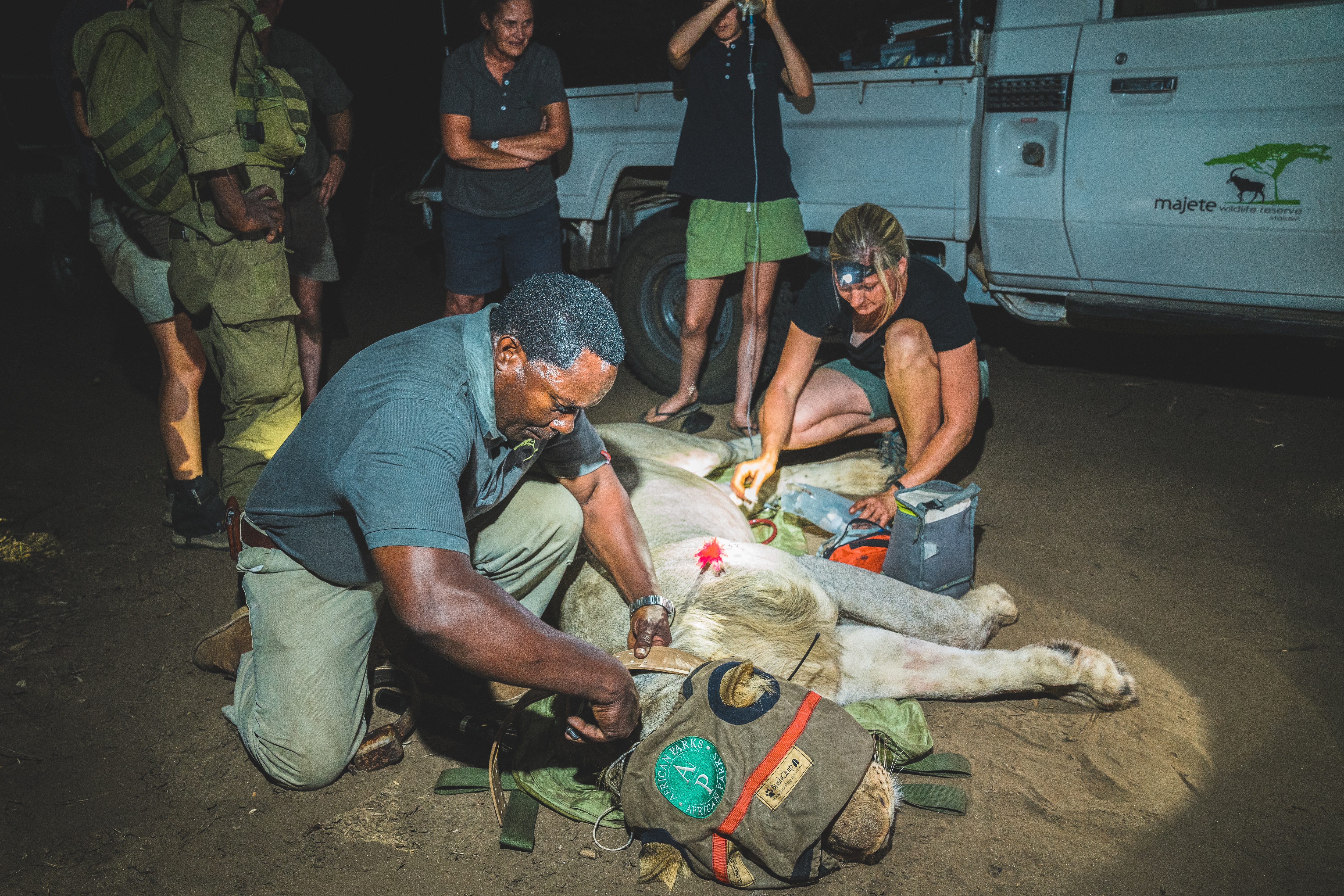 Malawi: Rangers and Vets for Wildlife