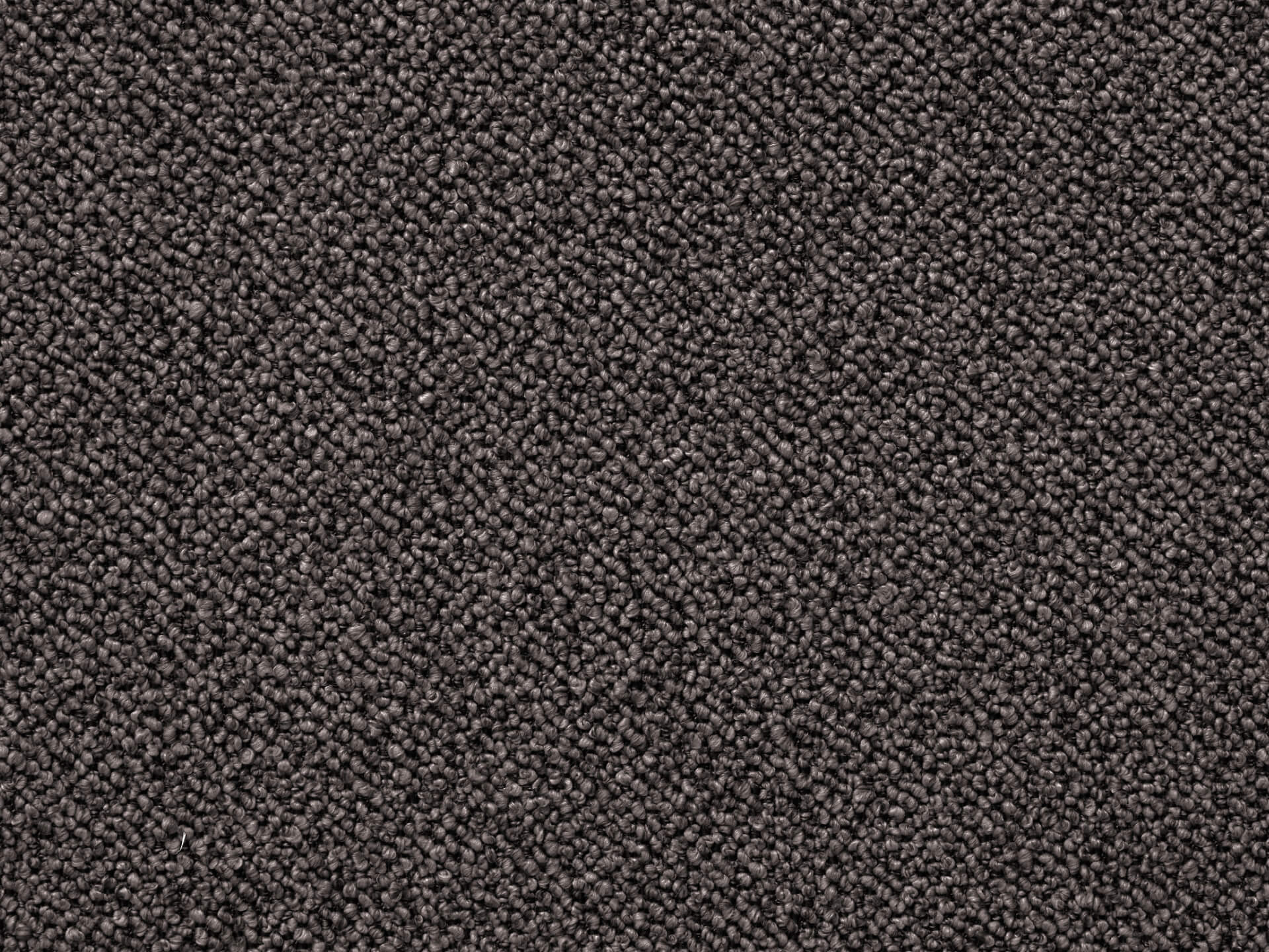 Koala Stunner Sofa Bed Elevated, Floorless Sleep Koala AU