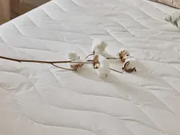 JP > PDP > Organic Cotton Mattress Protector > Cotton