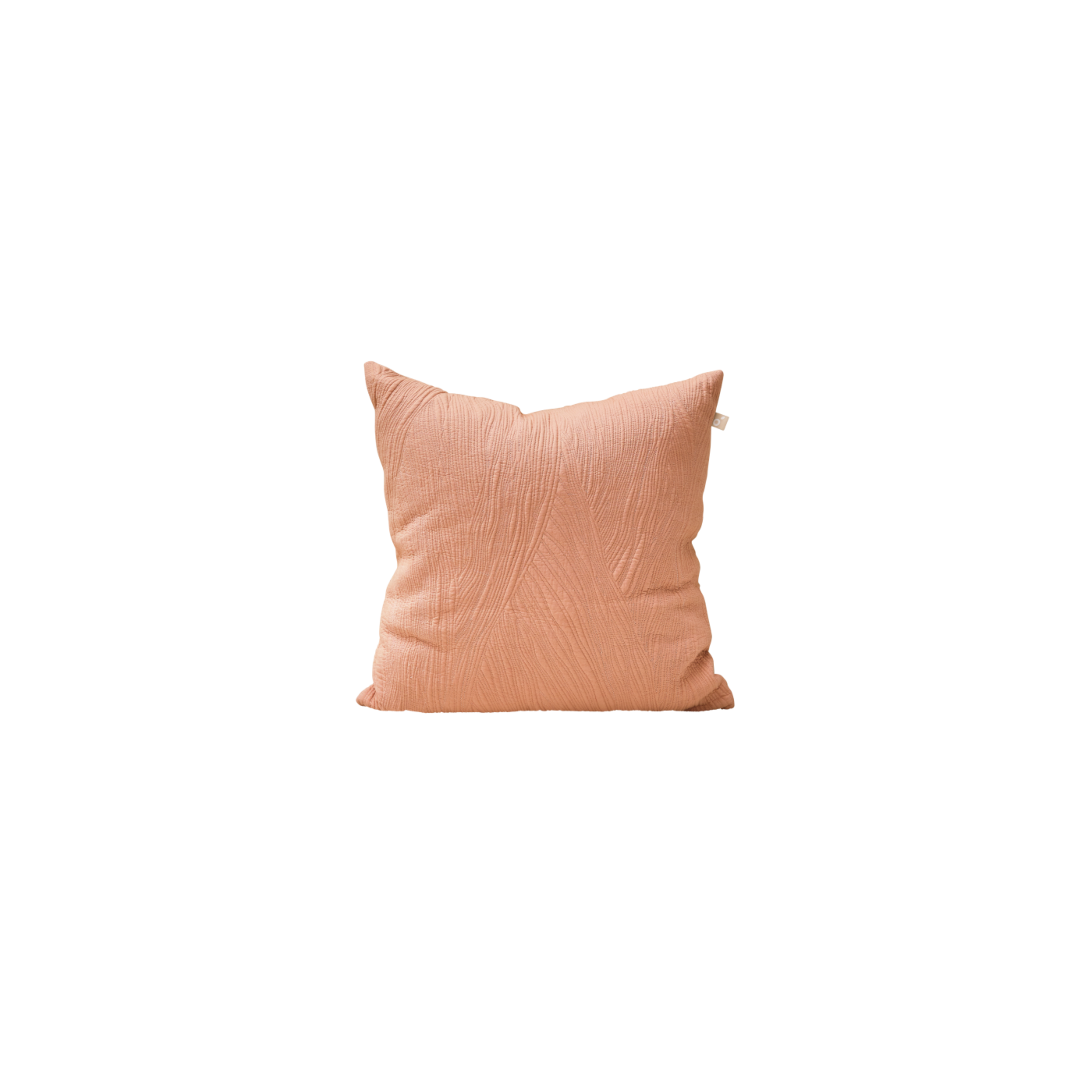 Product Clear BG Bush Walk Cushion 50 x 50cm Pink Sky