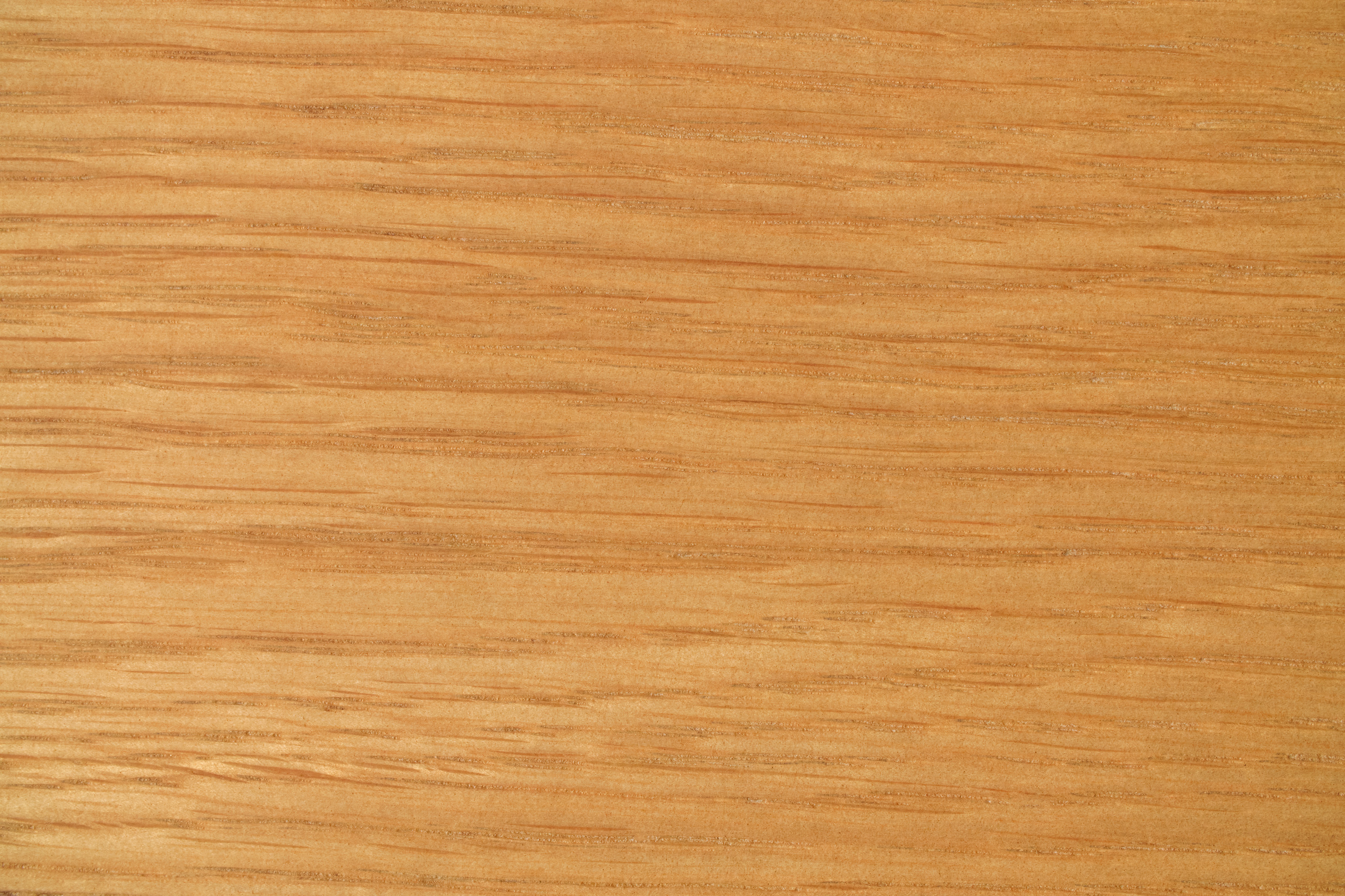 Koala Round Coaster Coffee Table Koala Furniture AU