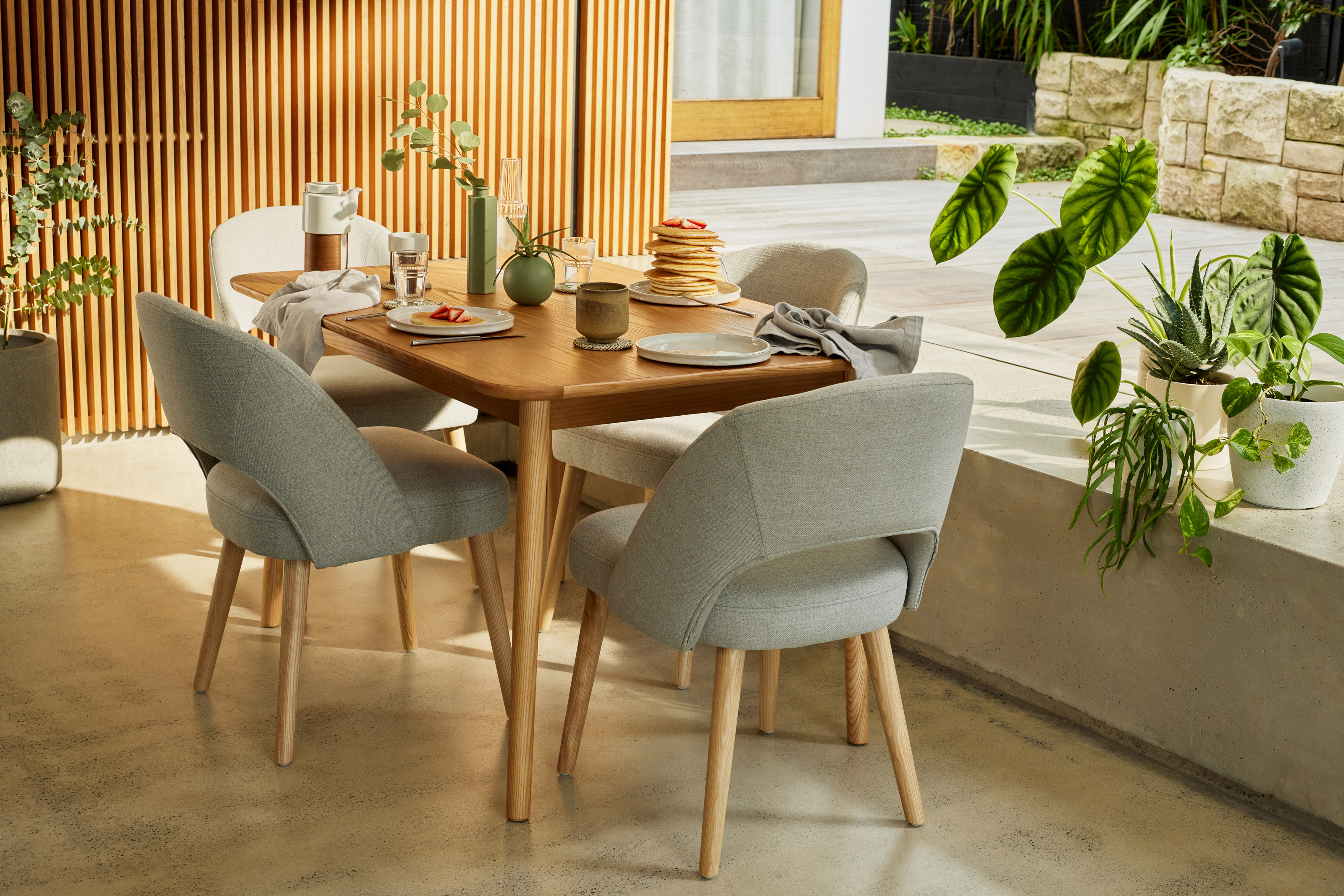 koala curved dining chair