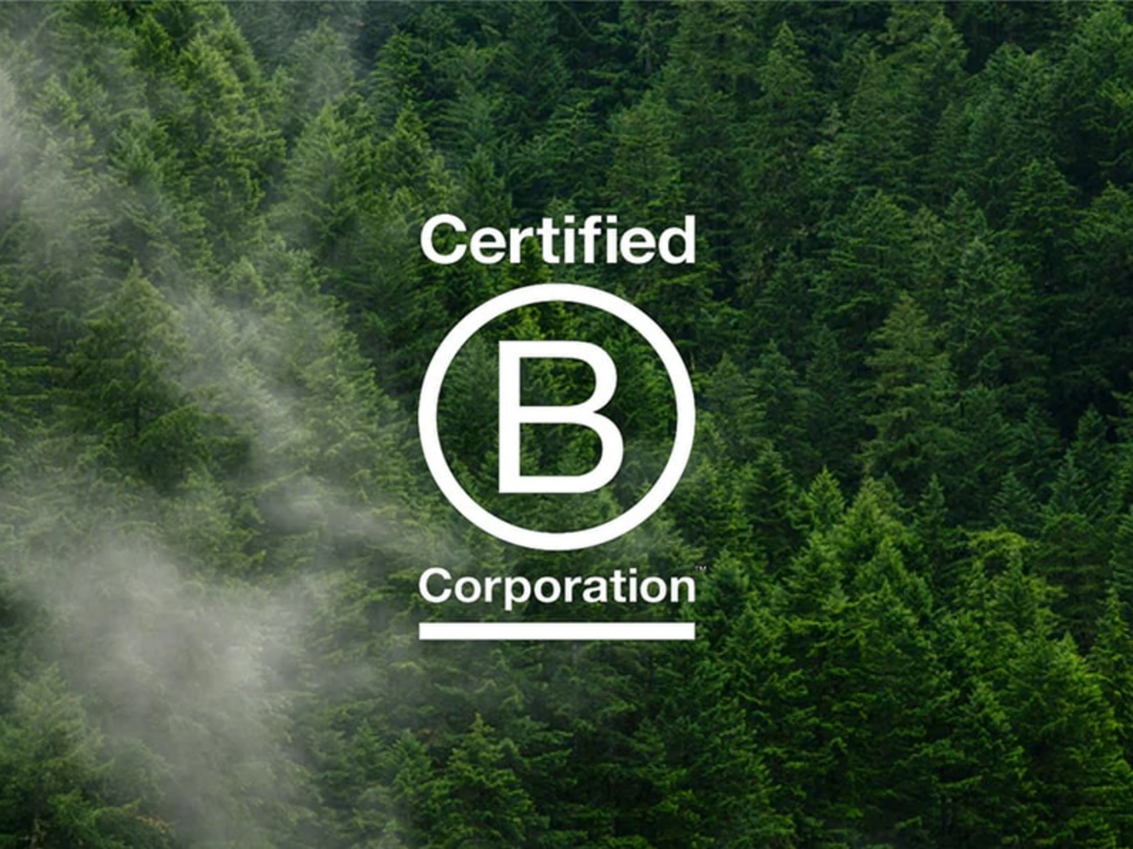 B Corp Certified (Optimised)