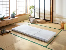 JP > PDP > Koala Futon OASIS > Without Talent 3 (Japanese room)