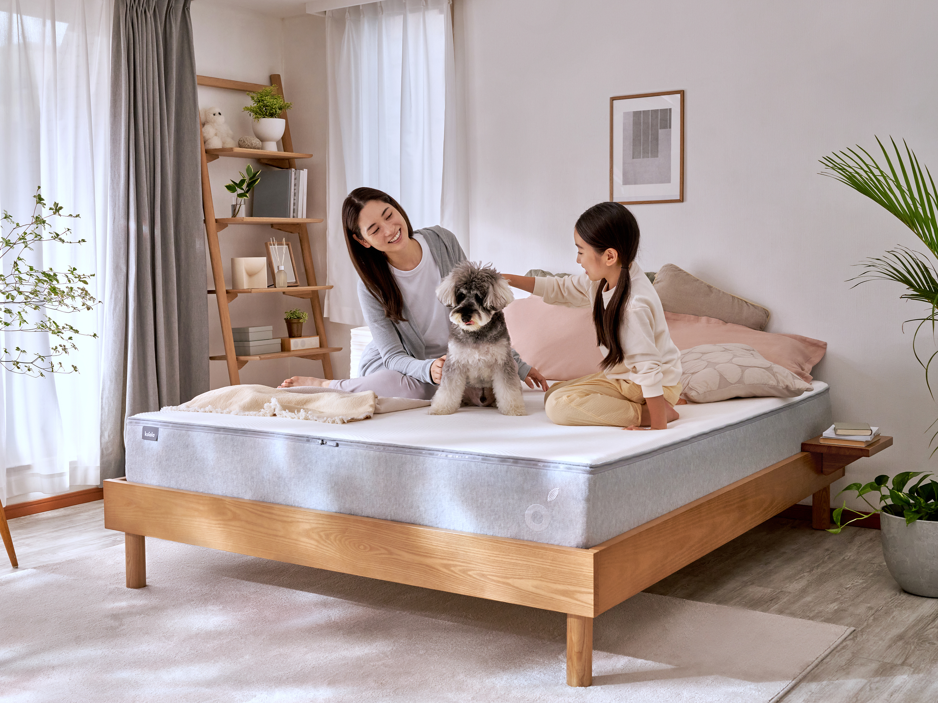 コアラマットレス マットレス除湿シート付き