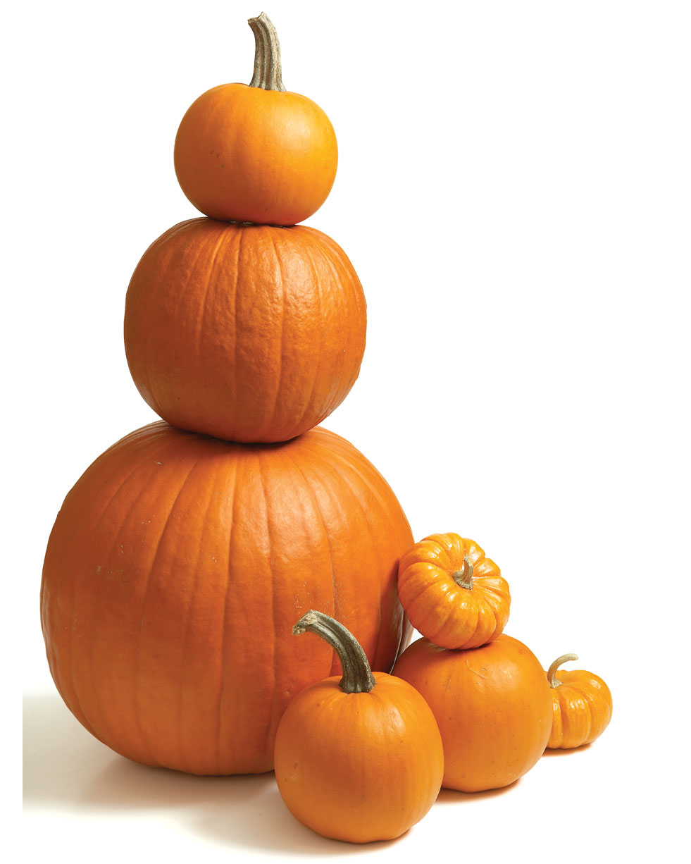 Which Pumpkin is Best For Cooking?