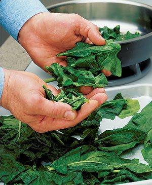 Tips-Freeze-Fresh-Spinach-for-Quick-Chopping