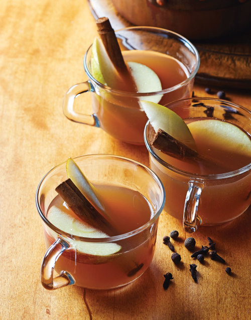 Pear-And-Apple-Cider-Lead