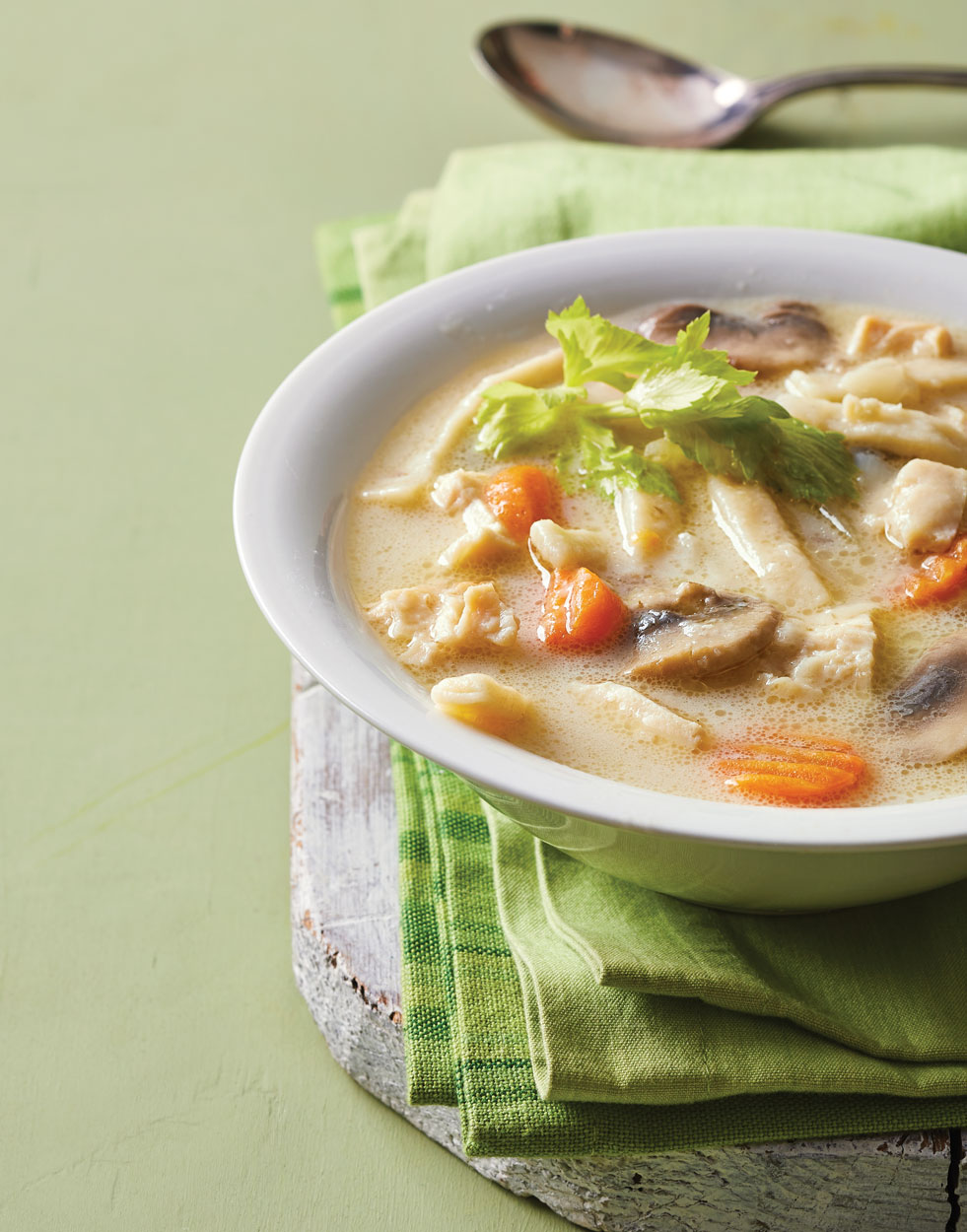 Creamy Chicken Noodle Soup