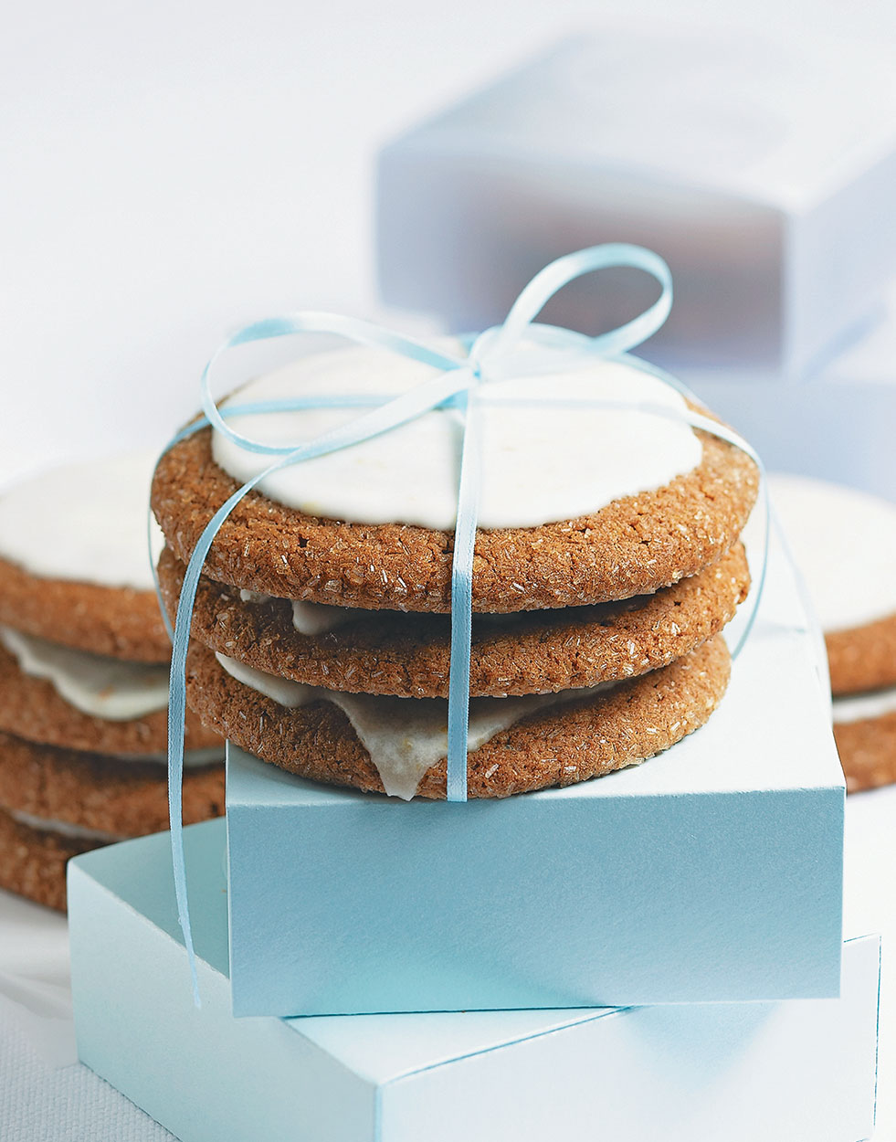 giant-ginger-cookies-recipe