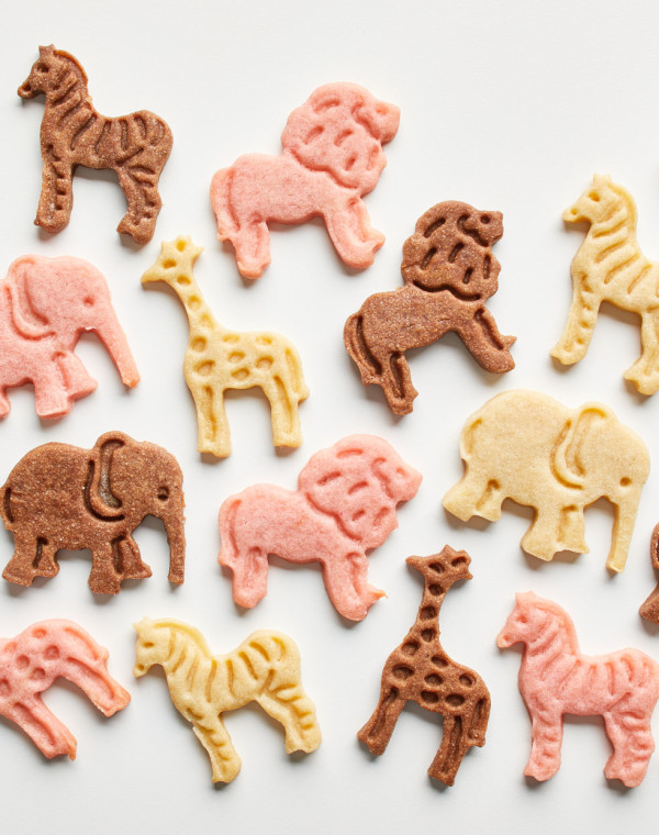 Homemade Animal Cookies