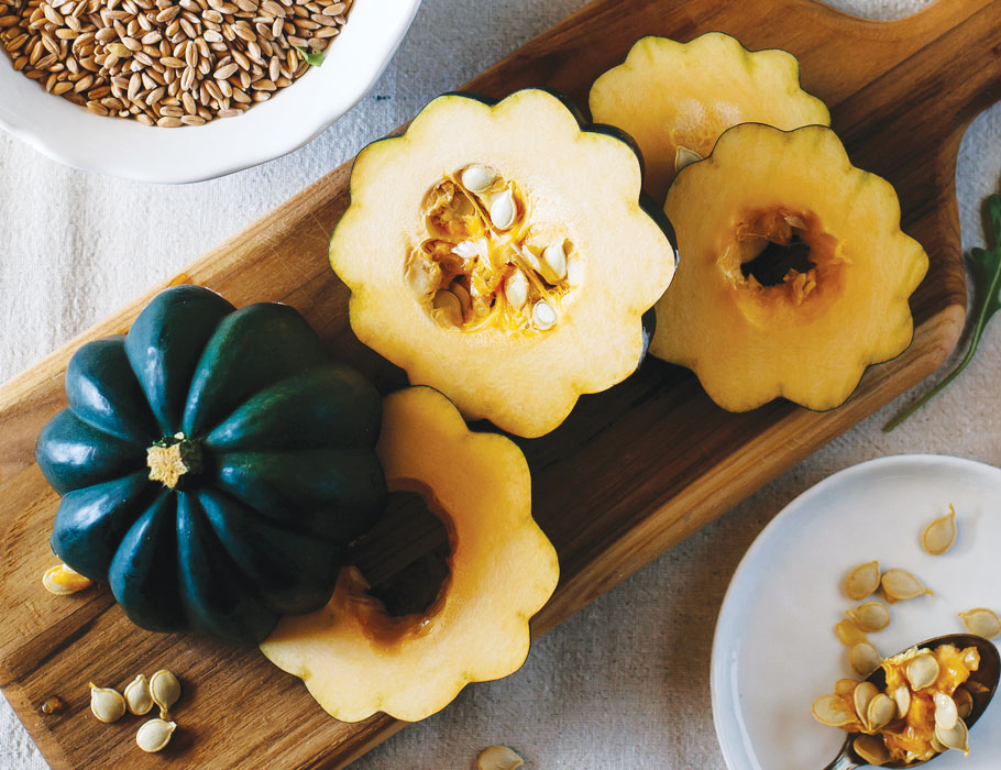 The History of the Acorn Squash, a.k.a. Table Queen or Des Moines squash