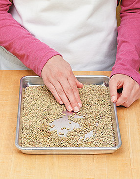 Spread out the lentils so you can pick out any small rocks. Then rinse them in a sieve to wash off any dirt.