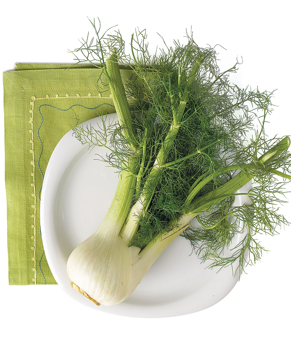 What is fennel? A vegetable or an herb?